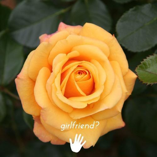 Girlfriend?