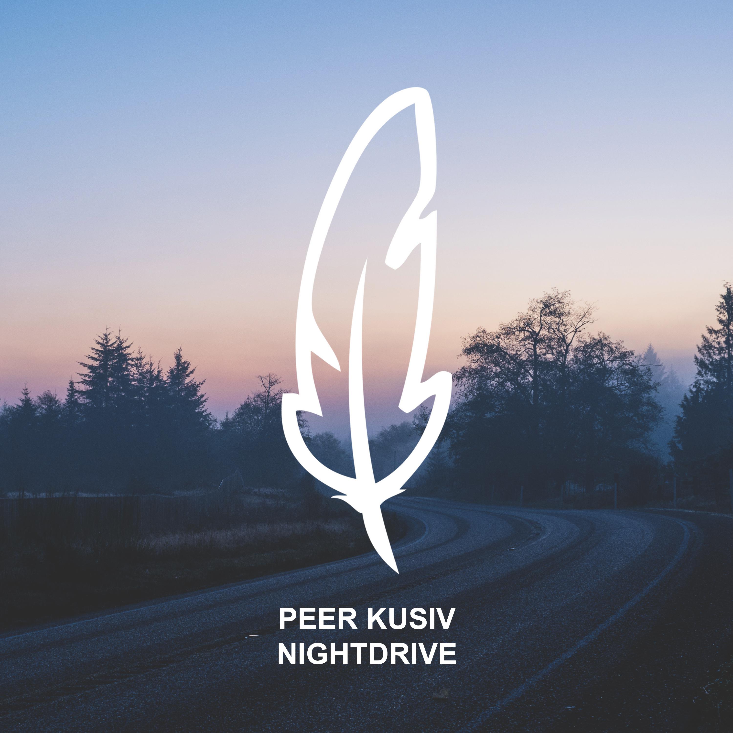 Nightdrive (Rauschhaus Remix)