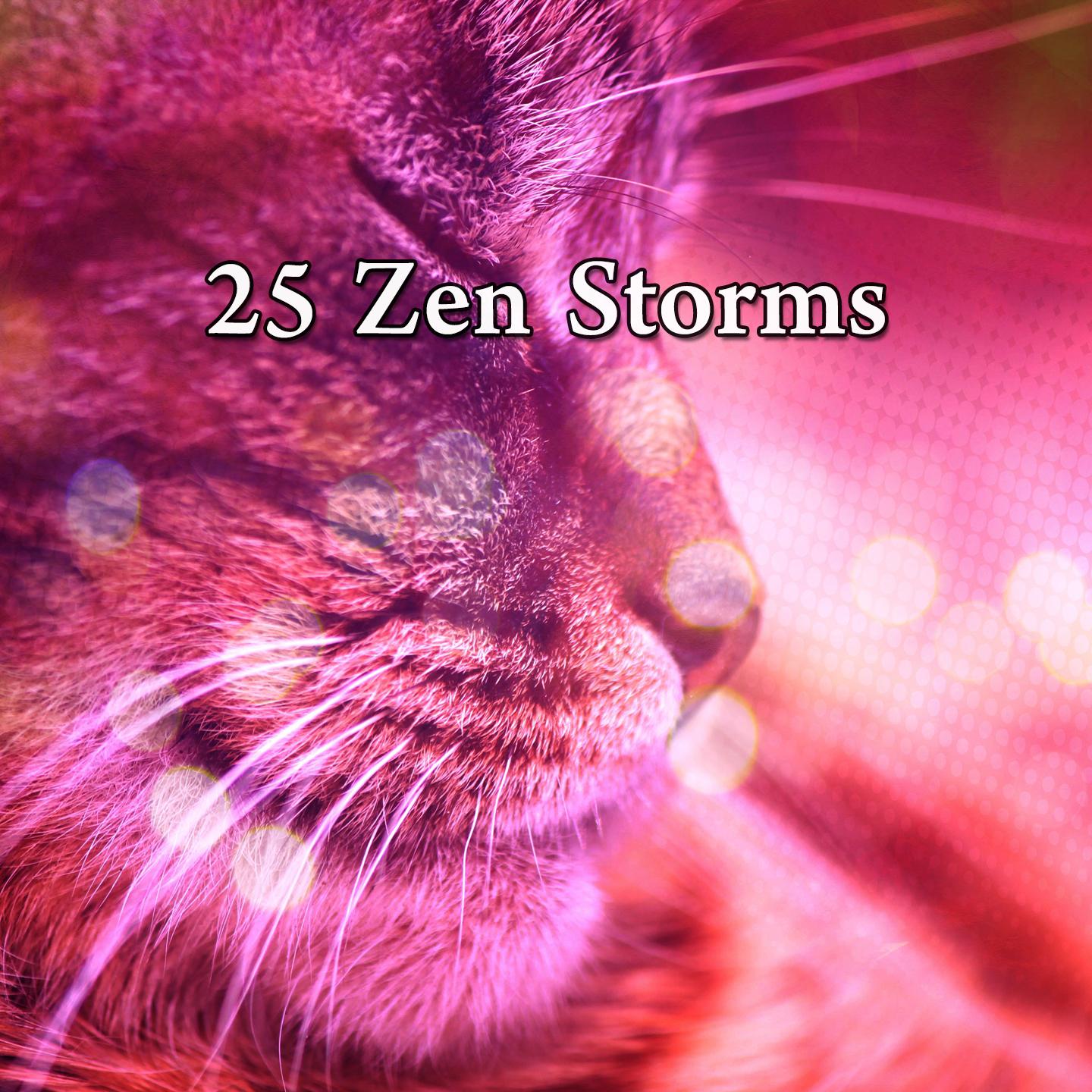 25 Zen Storms