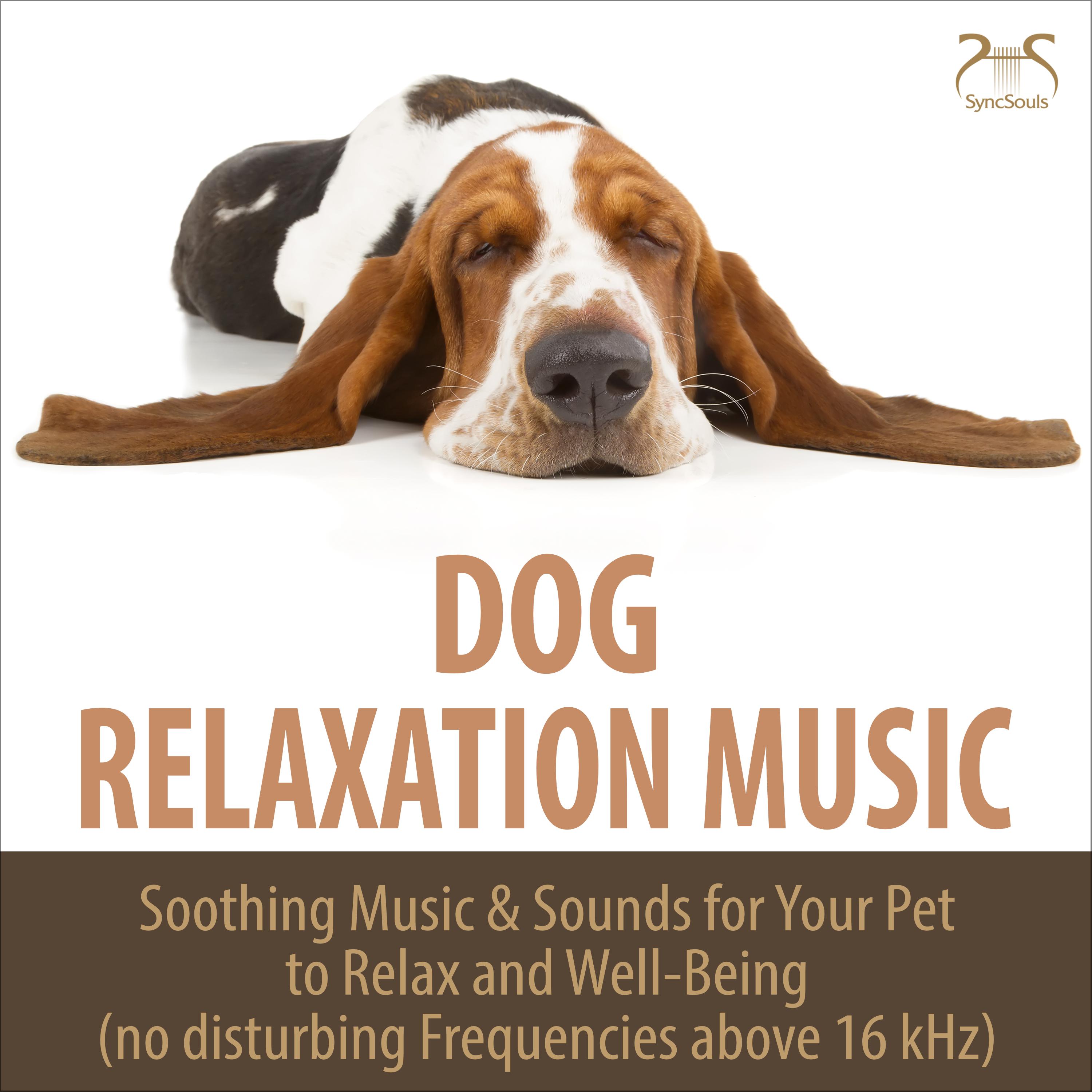 Rockabye Baby: Sleep Music for Dogs and Owners, Frequency-Limited at 16 kHz