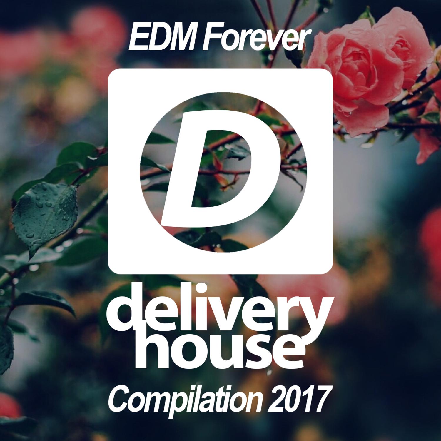 EDM Forever 2017