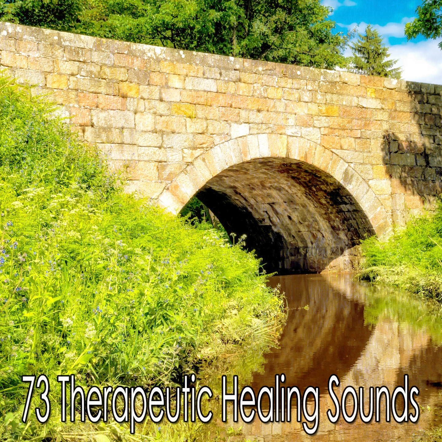 73 Therapeutic Healing Sounds
