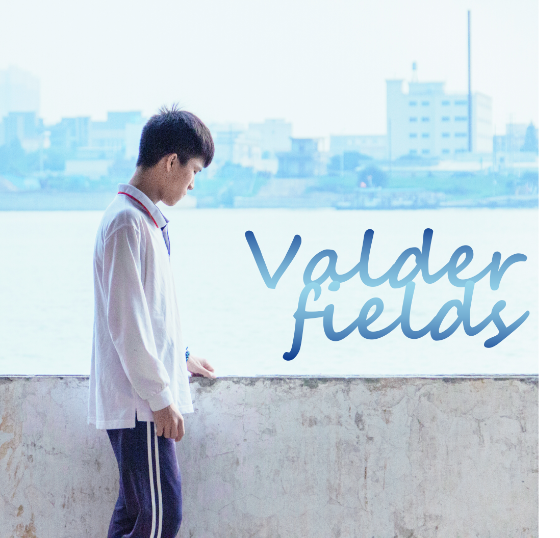 Valder fields（Cover Tams Wells）