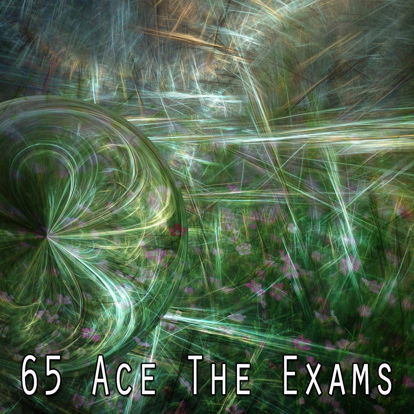 65 Ace The Exams