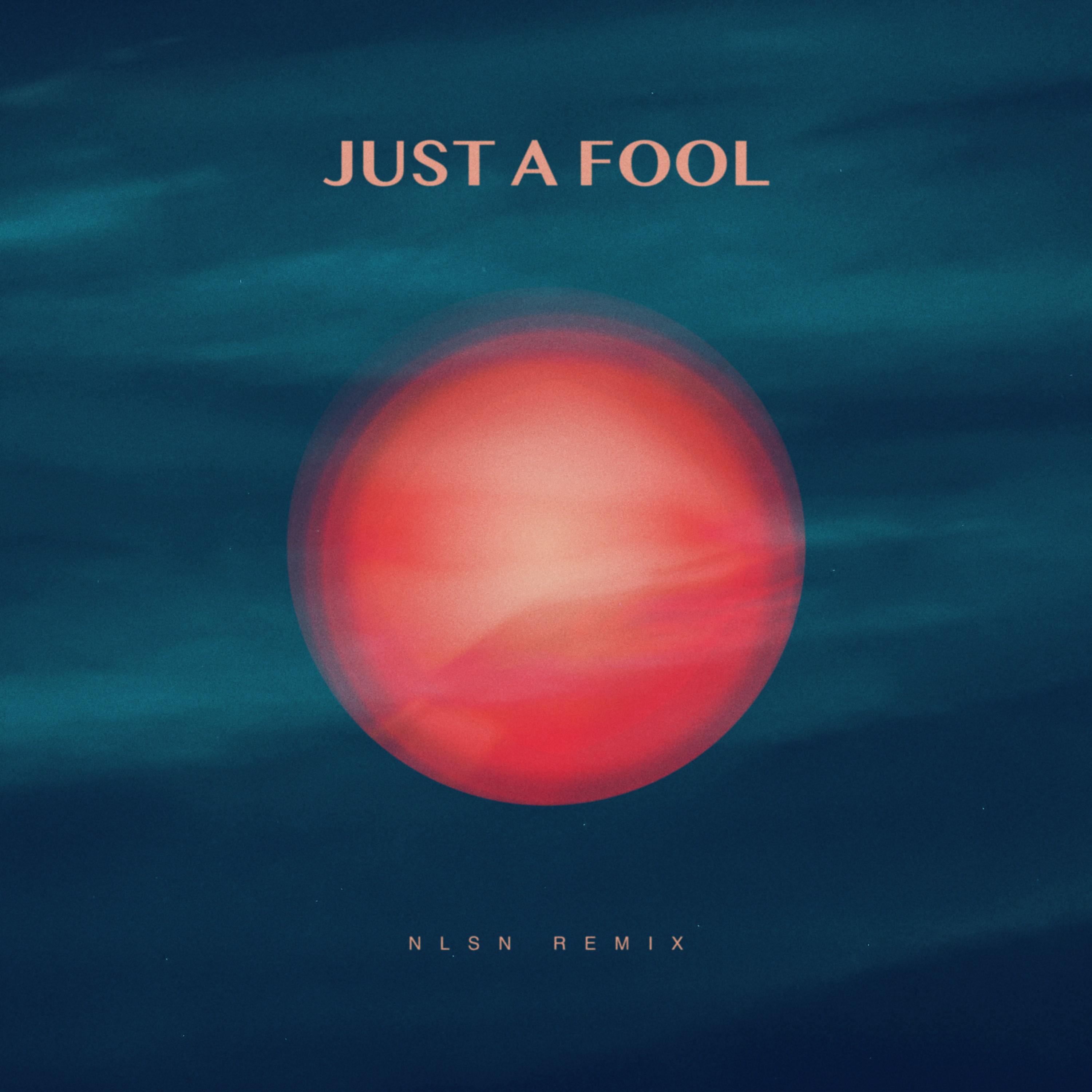 Just a Fool (NLSN Remix)