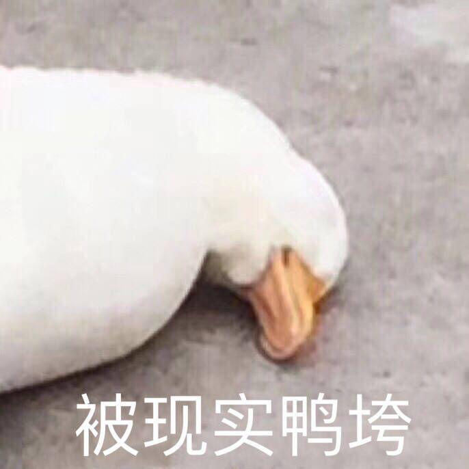 陷阱