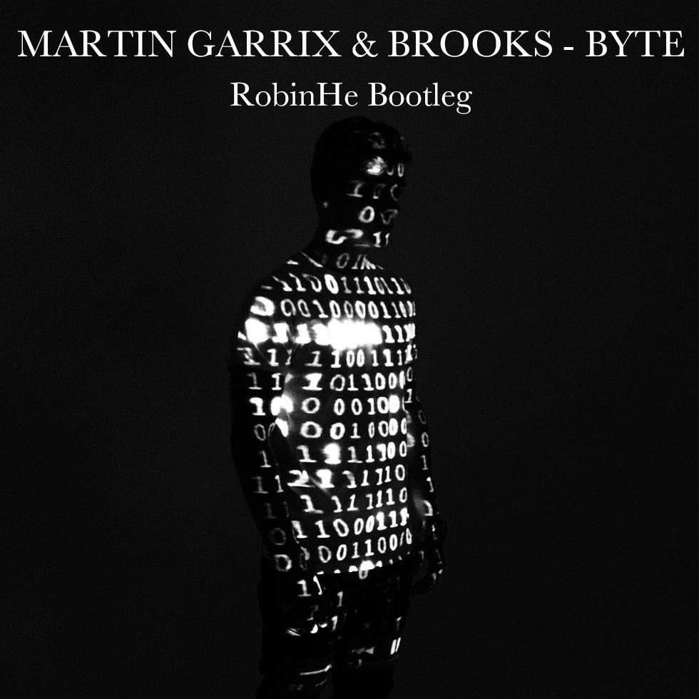 Martin Garrix / Brooks / CAREL - Byte (RobinHe Bootleg)