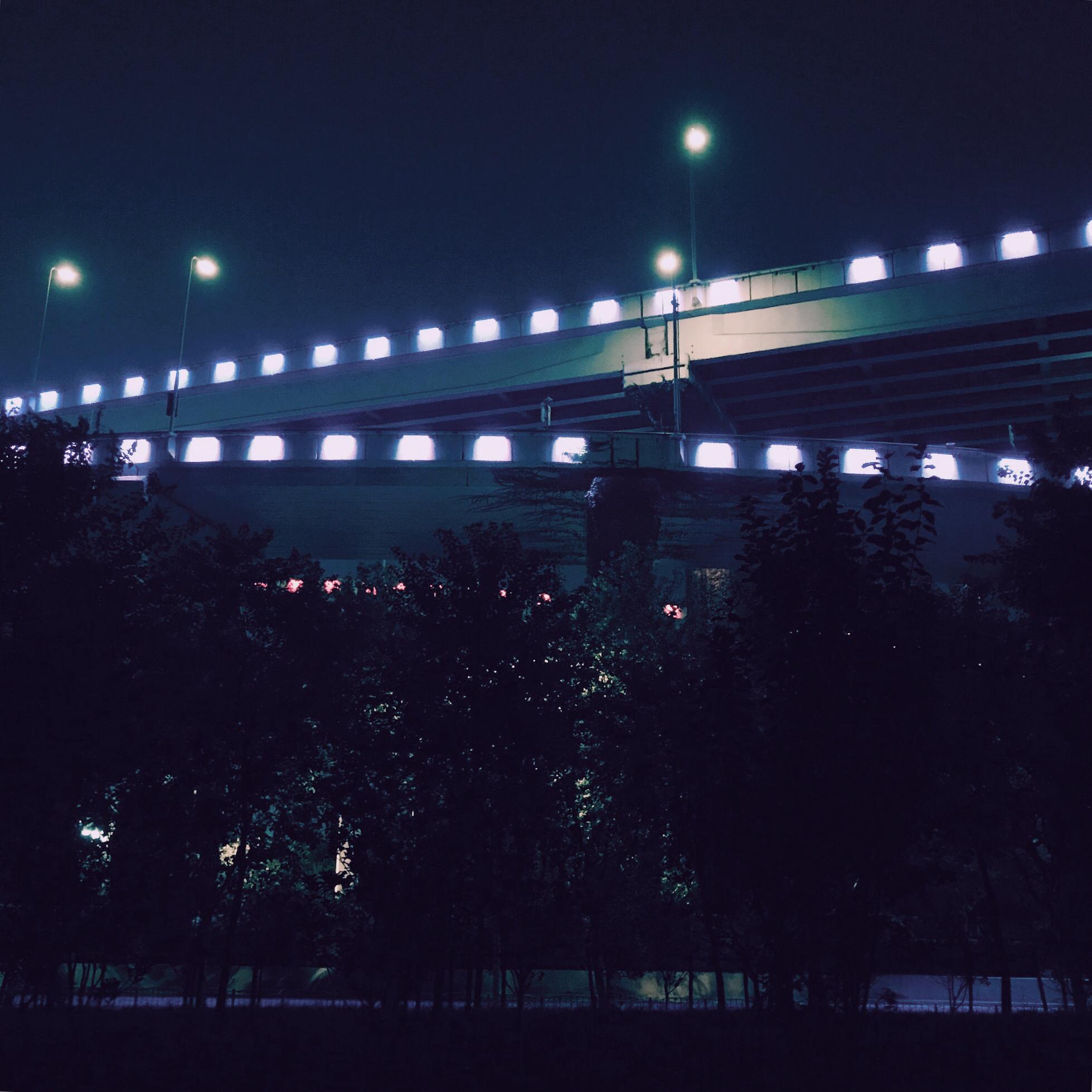 Shanghai Midnight Skyway