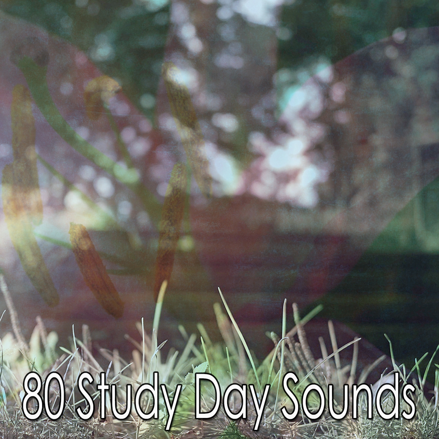 80 Study Day Sounds