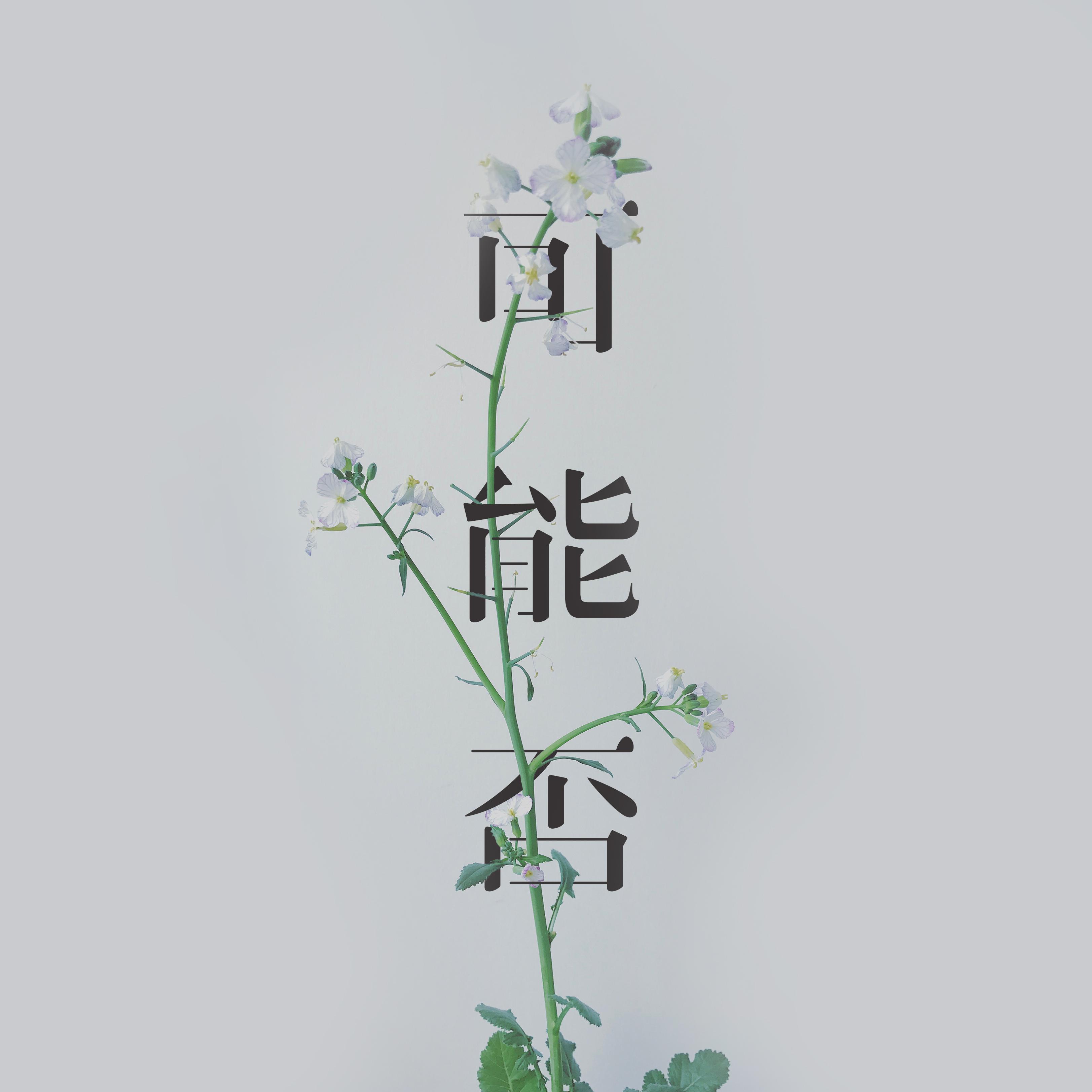 可能否（Cover：木小雅）