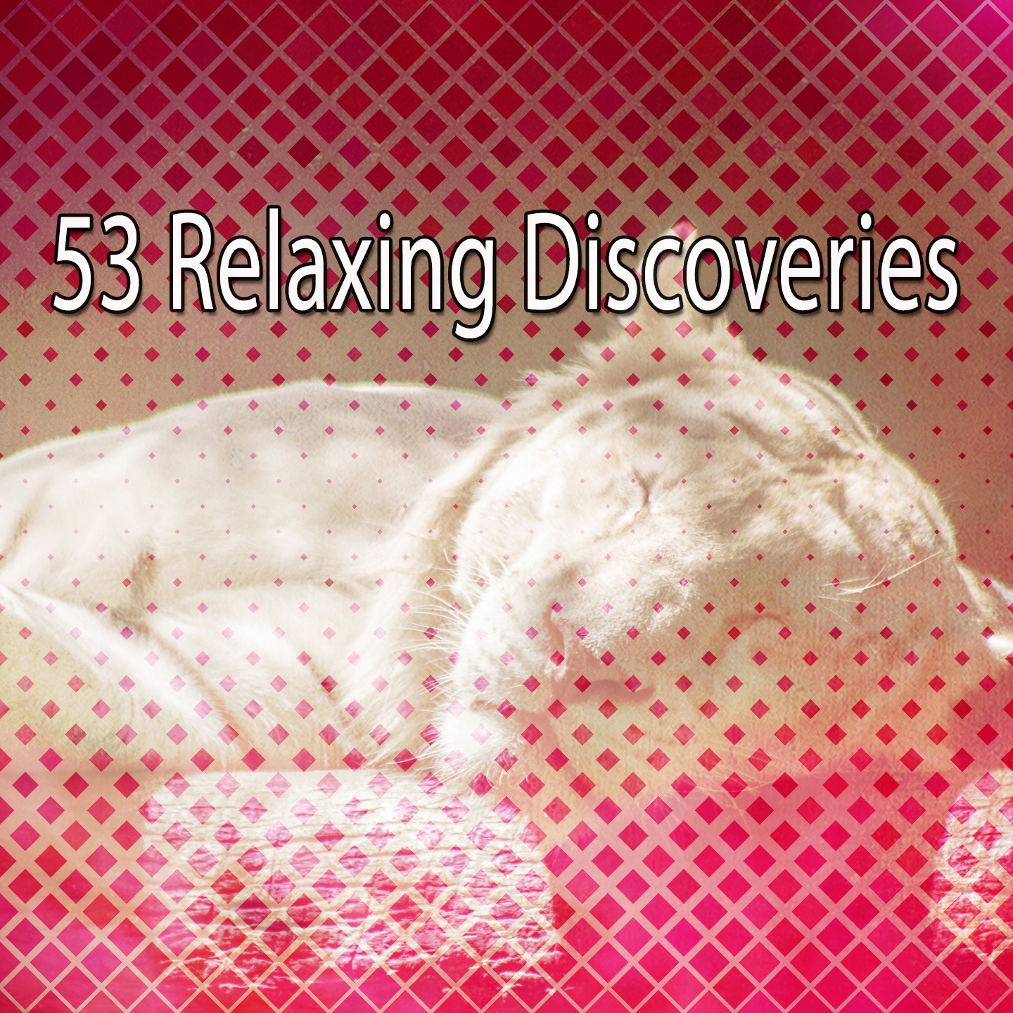 53 Relaxing Discoveries