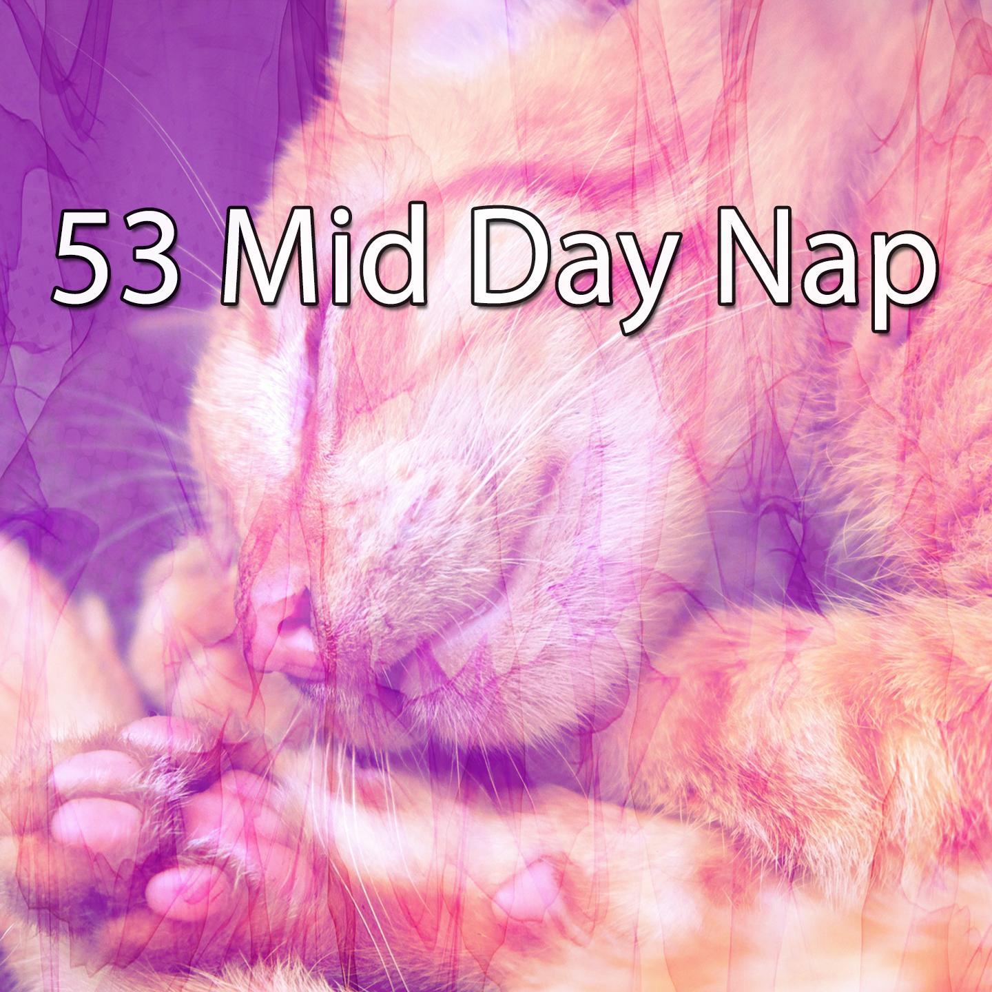 53 Mid Day Nap