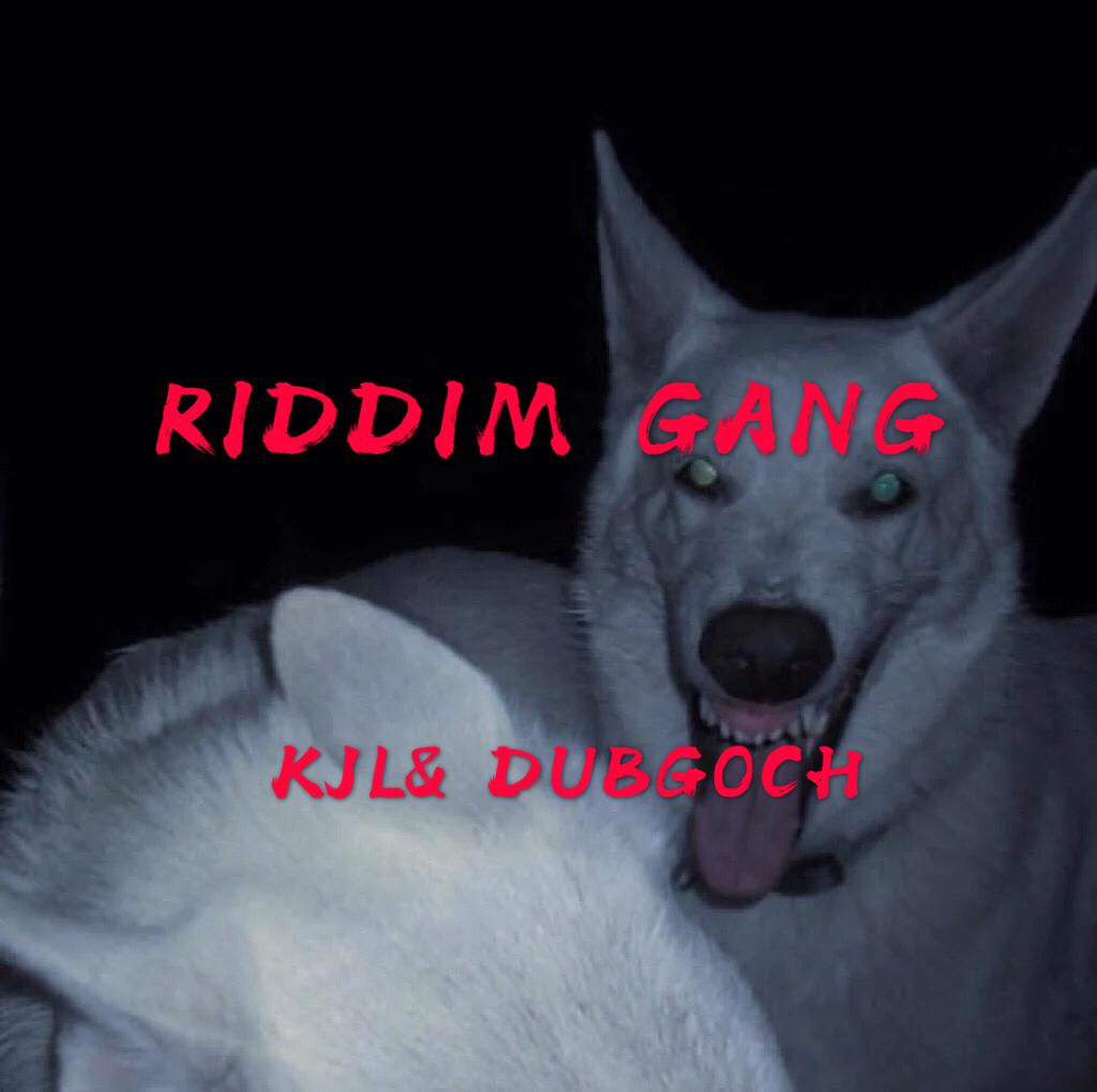 RIDDIM GANG