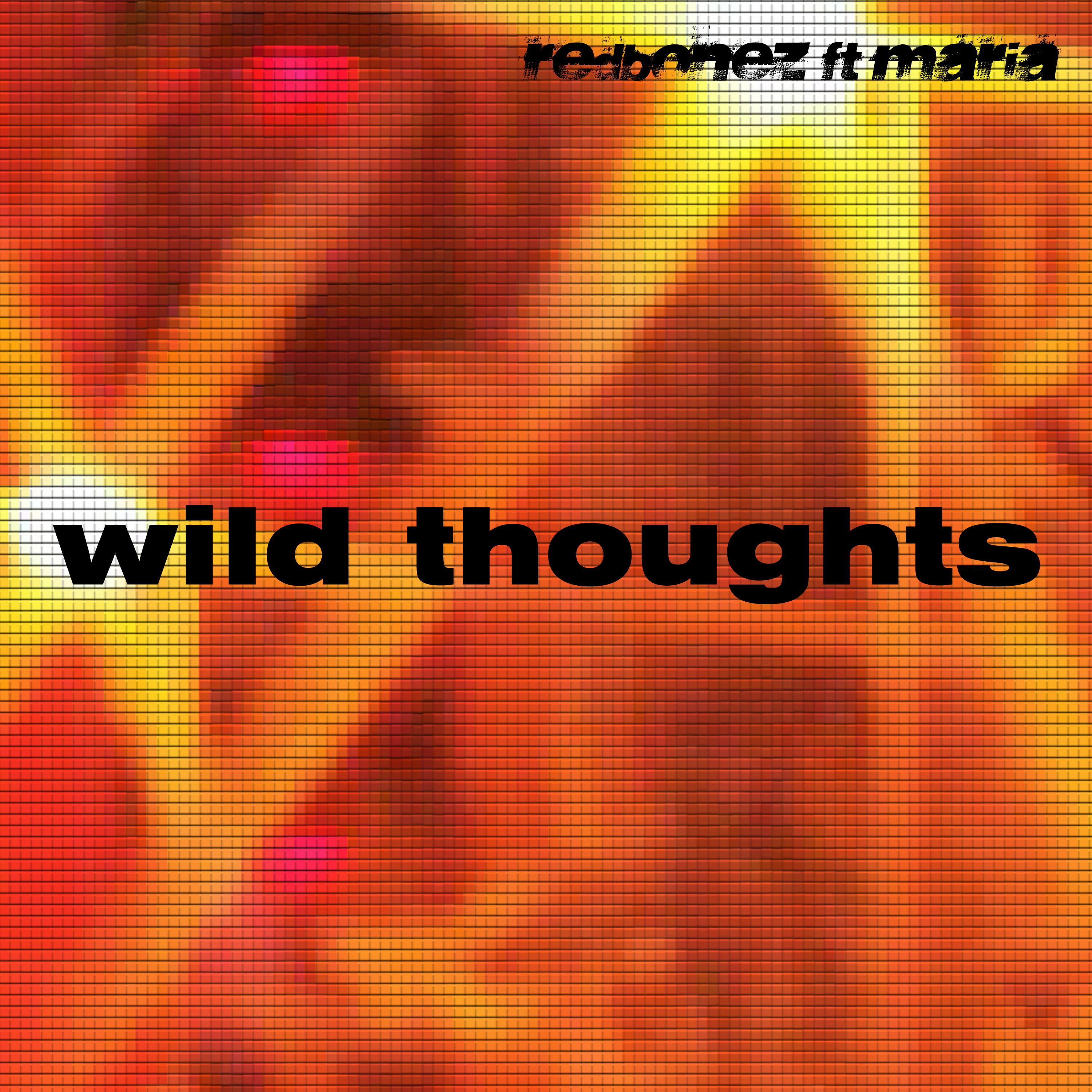 Wild Thoughts (Vocal Acapella Vocals Mix)