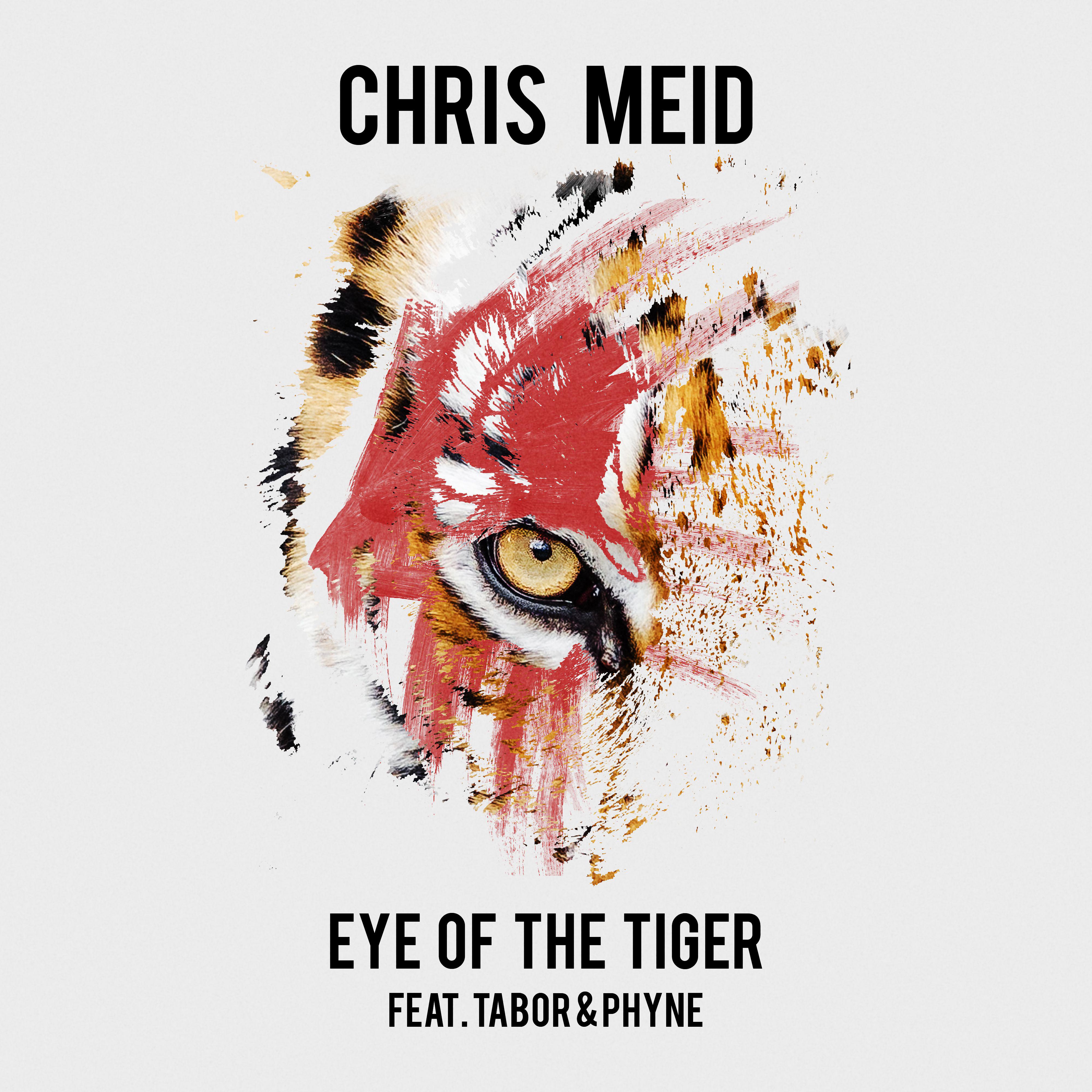 Eye of the Tiger