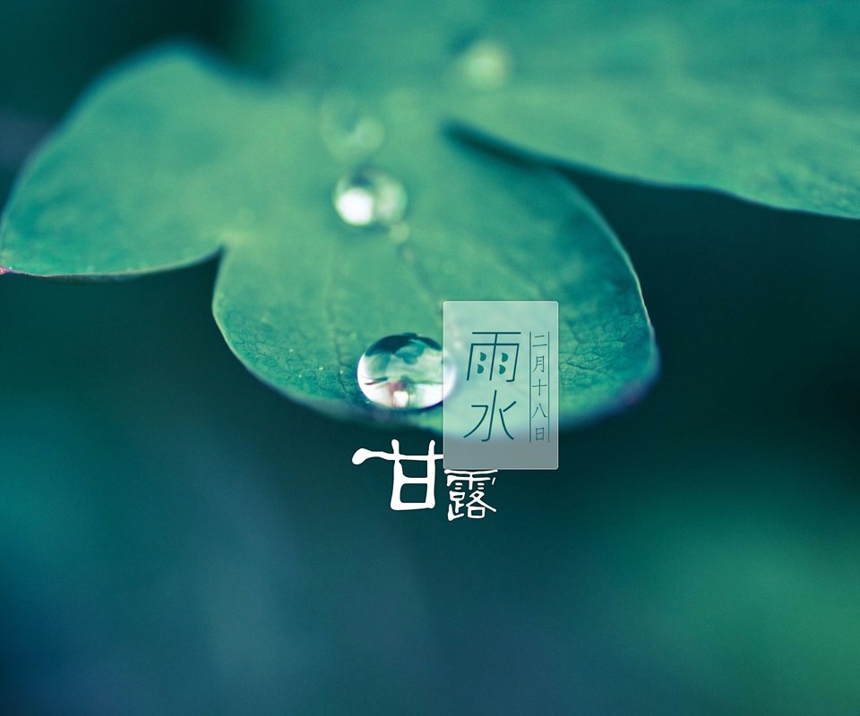 雨水