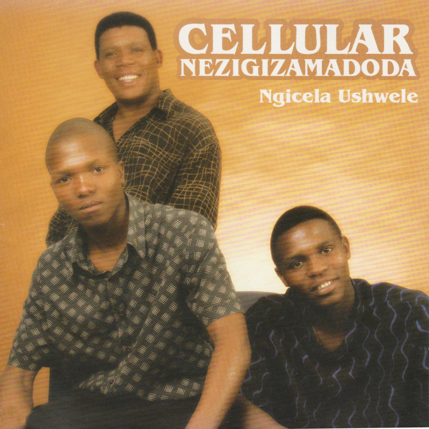 Ngicela Ushwele