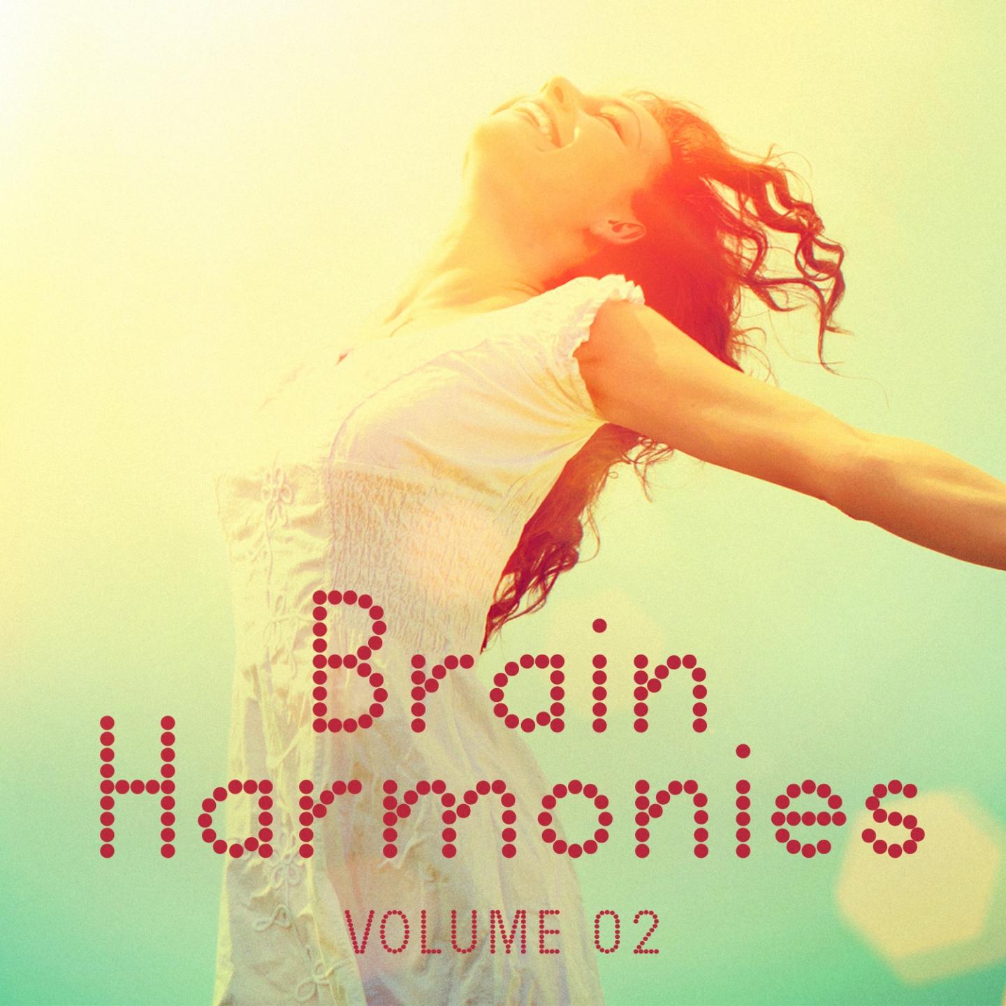 Brain Harmonies, Vol. 2 (A Diverse Selection for Your Concentration)