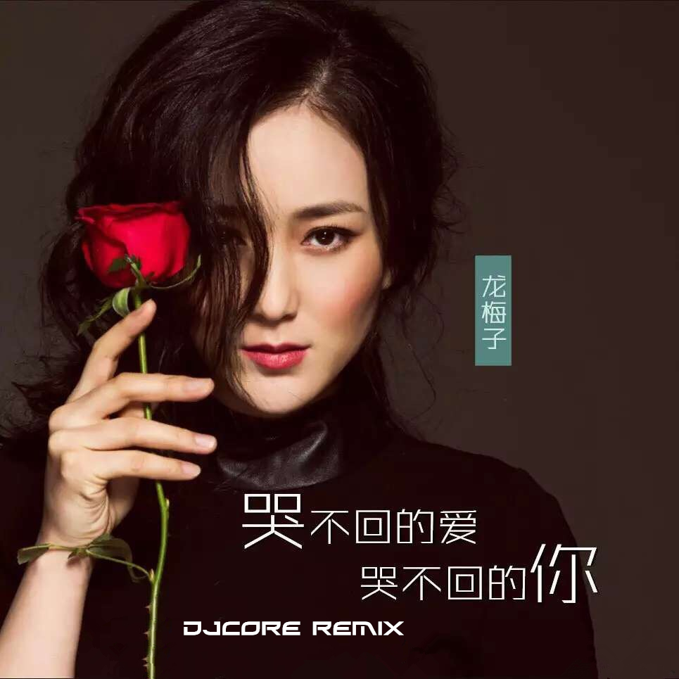 龙梅子 - 哭不回的爱哭不回的你（DjCore Extended Remix）