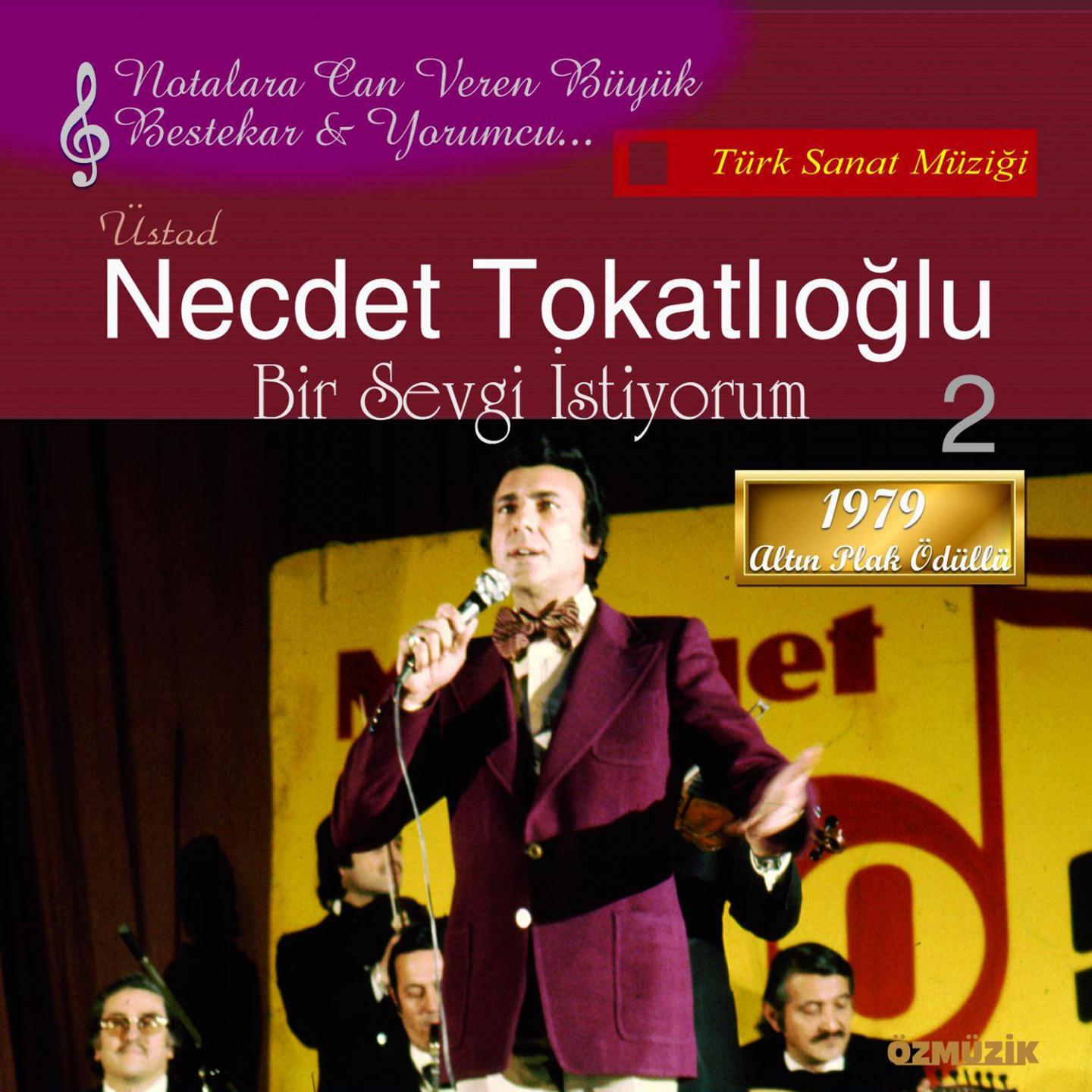 Besteleriyle Necdet Tokatlıoğlu, Vol. 2 (Bir Sevgi İstiyorum)