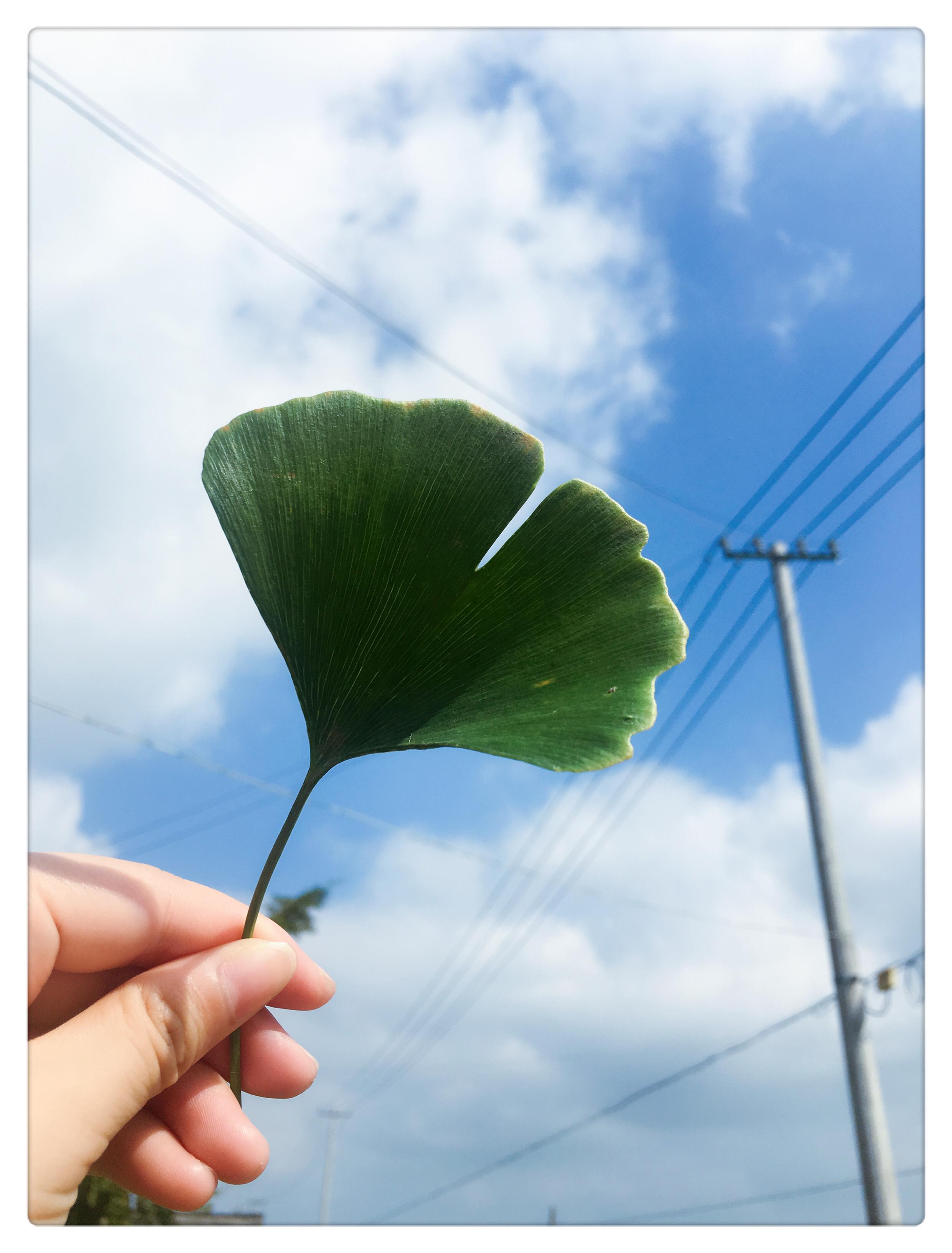 天空为什么是蓝色的