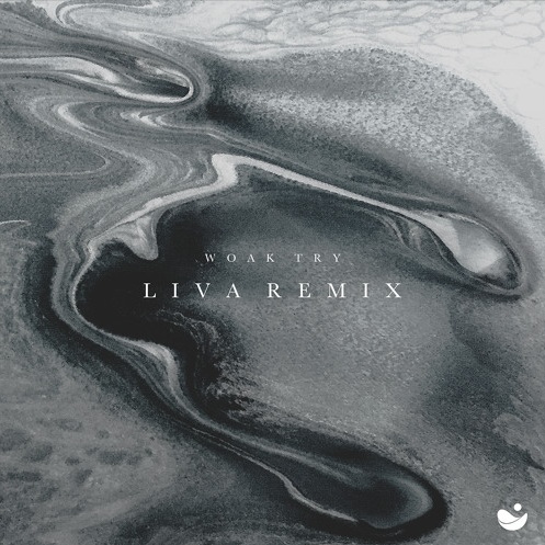 Try (LIVA Remix)