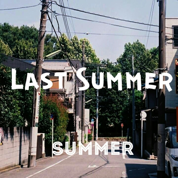 去年夏天 （ last summer ）