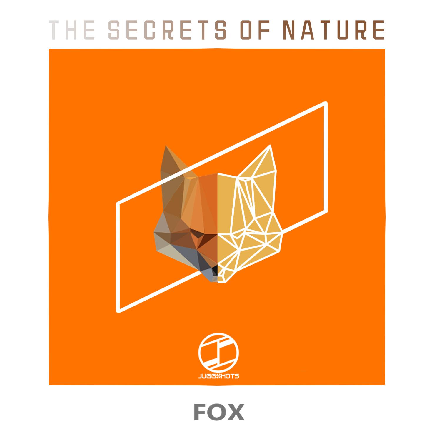 Fox(Original Mix)