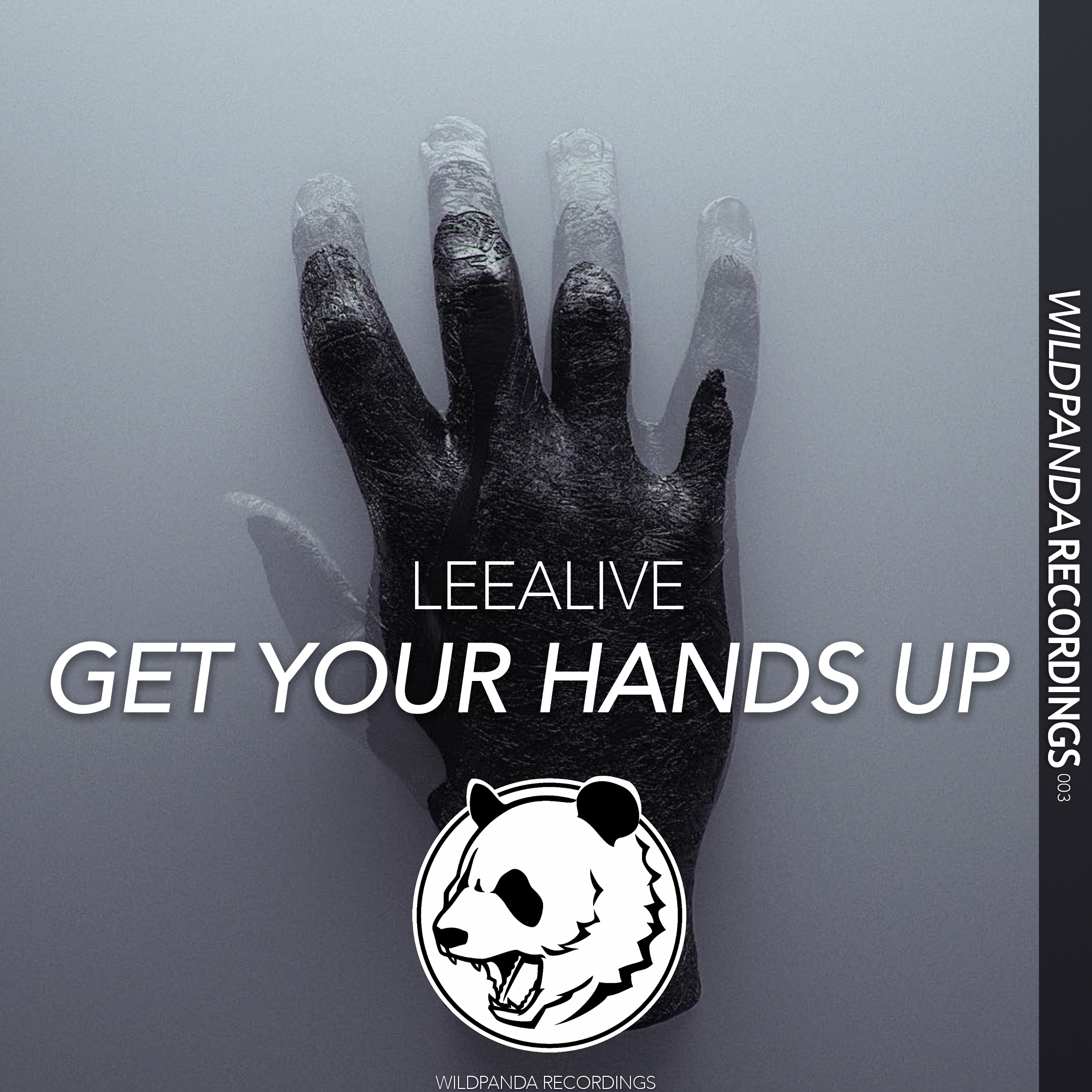 GET YOUR HANDS UP(Original Mix)