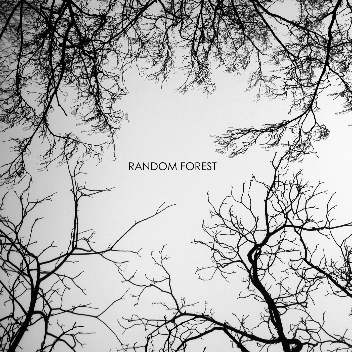 Random Forest