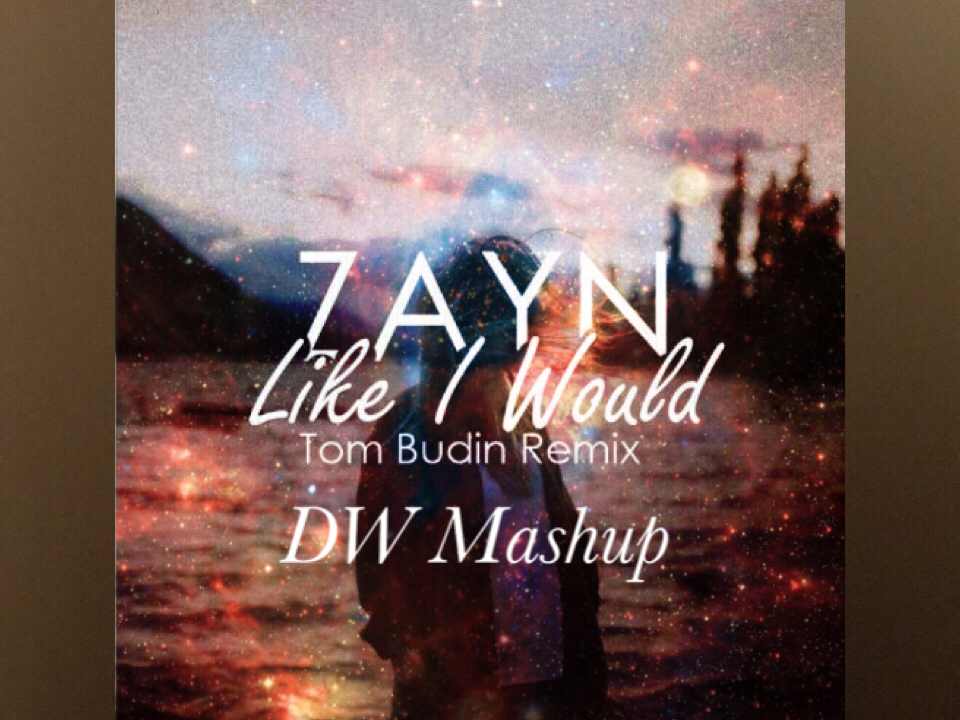 Ummet Ozcan / Tom Budin / ZAYN - Like I Would (Tom Budin Remix) & Spacecats(DW Mashup)