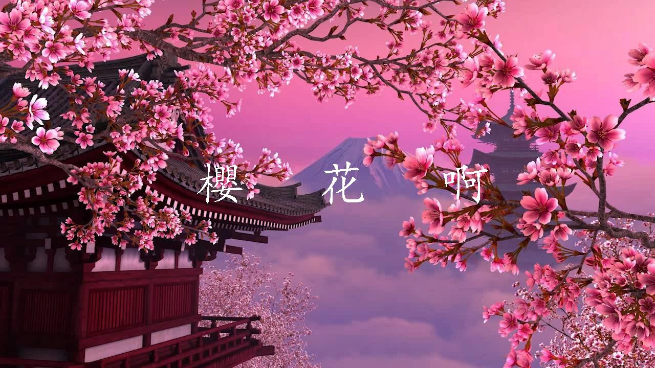 櫻花啊