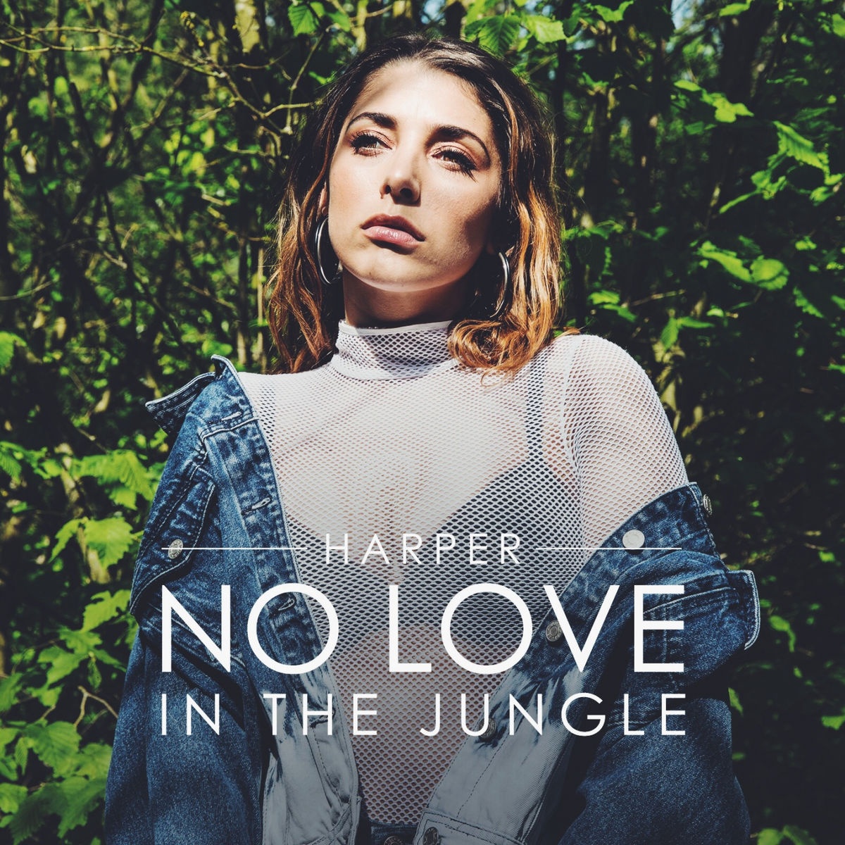 No Love in the Jungle