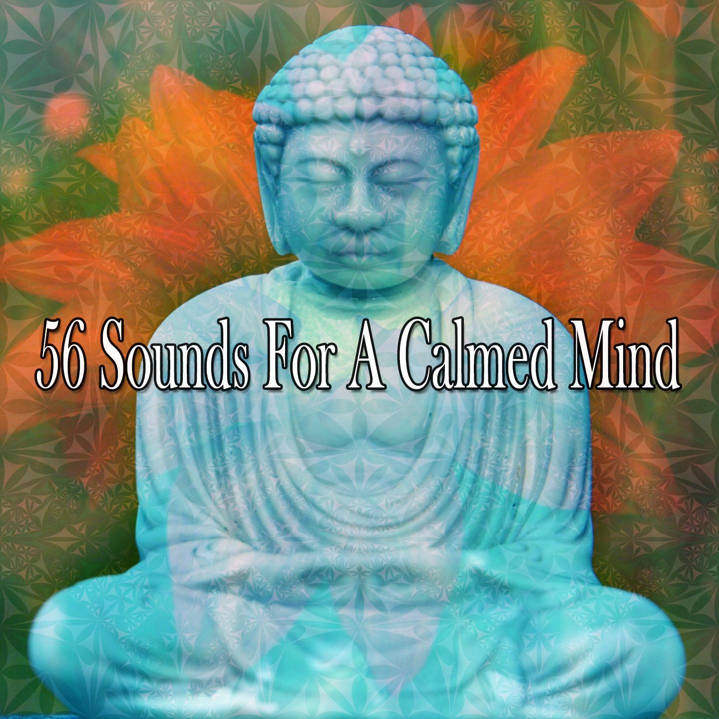 Buddhist Beat