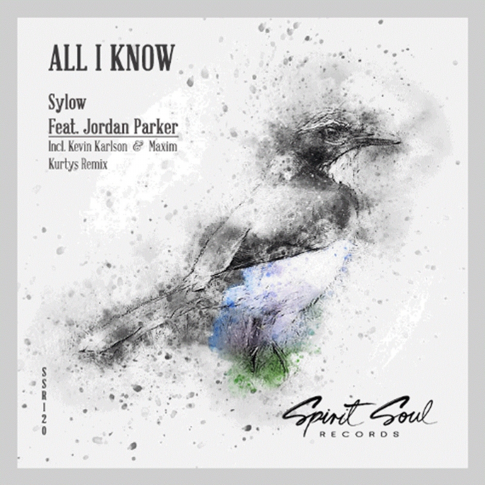 All I Know (Maxim Kurtys & Kevin Karlson Remix)