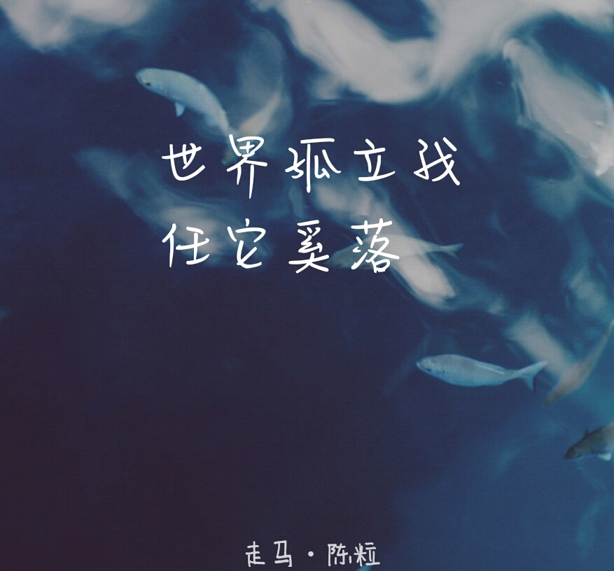 走马 （Cover 陈粒）