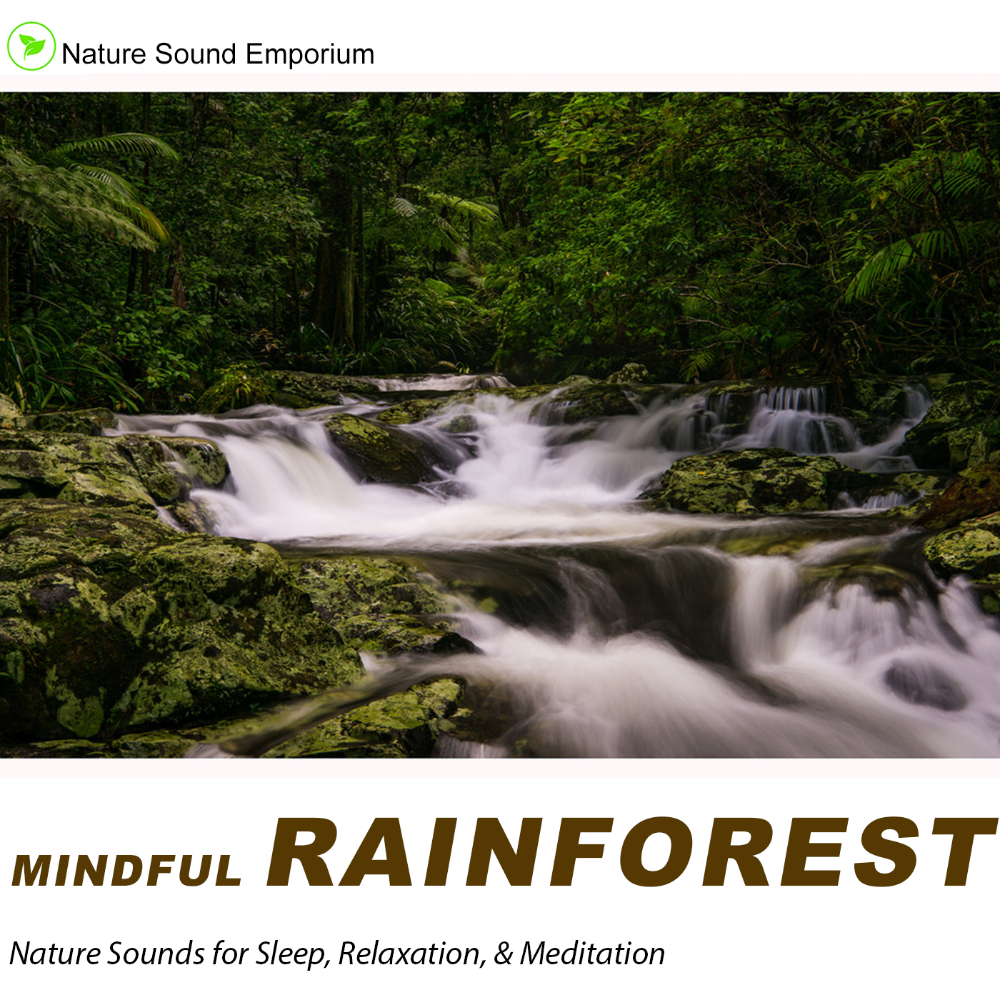 Mindful Rainforest - Nature Sounds for Relaxation, Meditation, Studying & Deep Sleep- Part 1