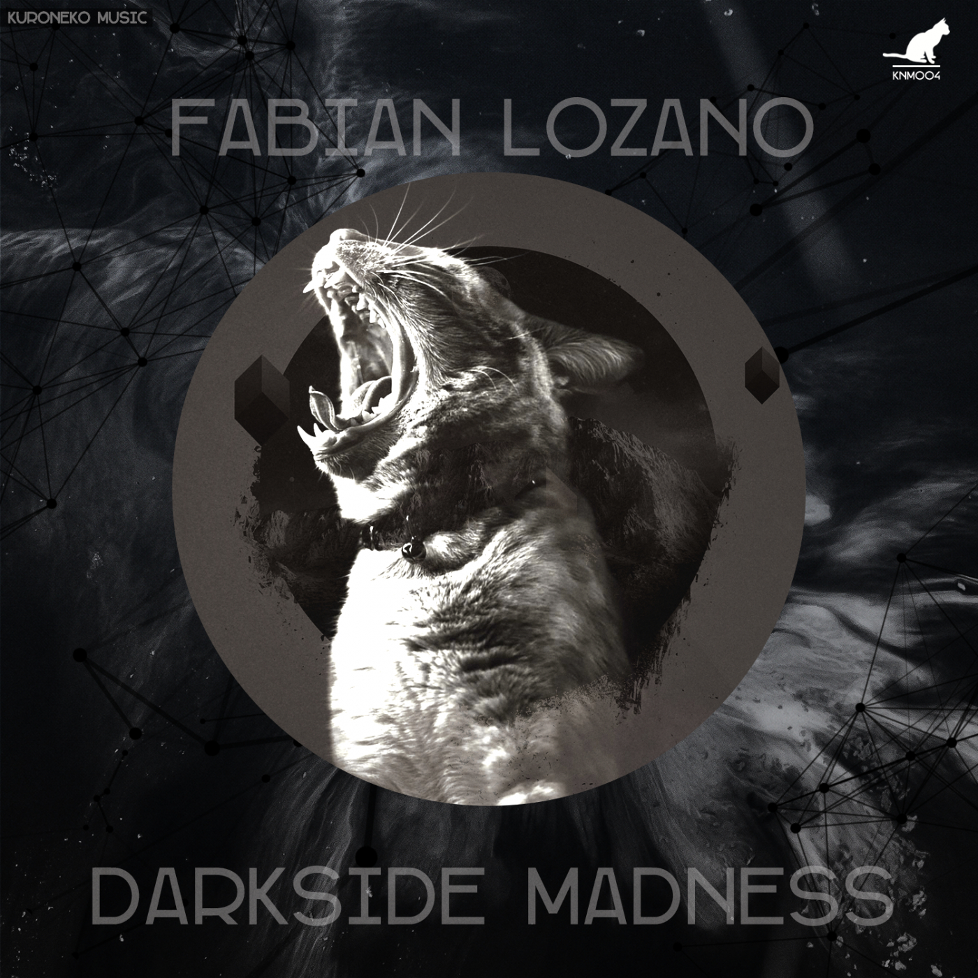 Darkside Madness (Original Mix)