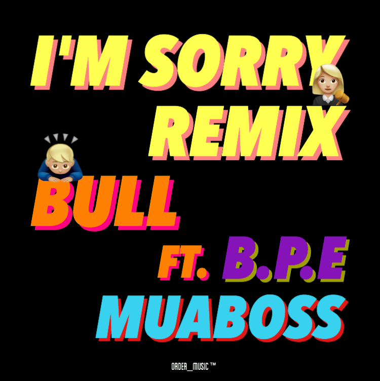 i'm sorry (Remix)