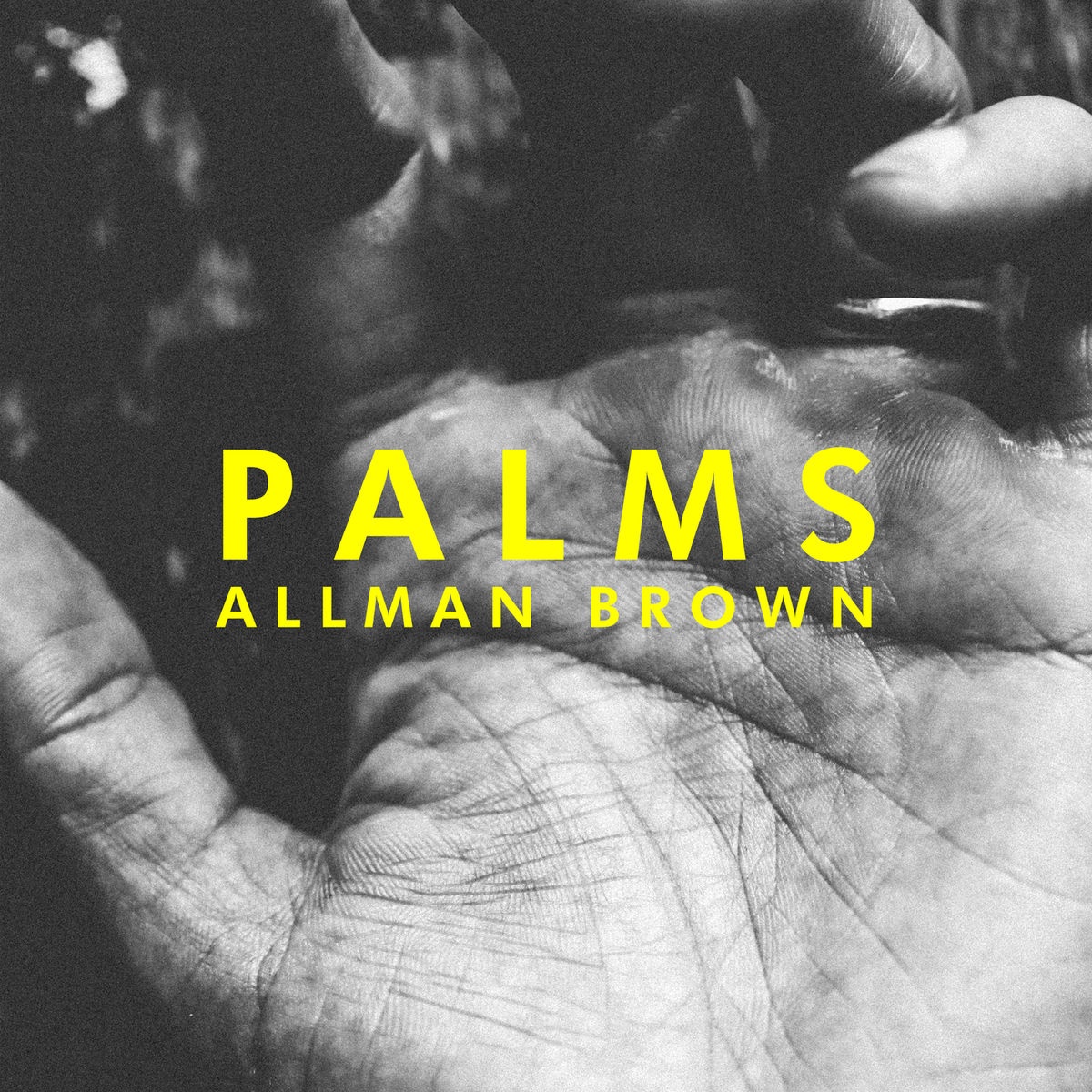 Palms