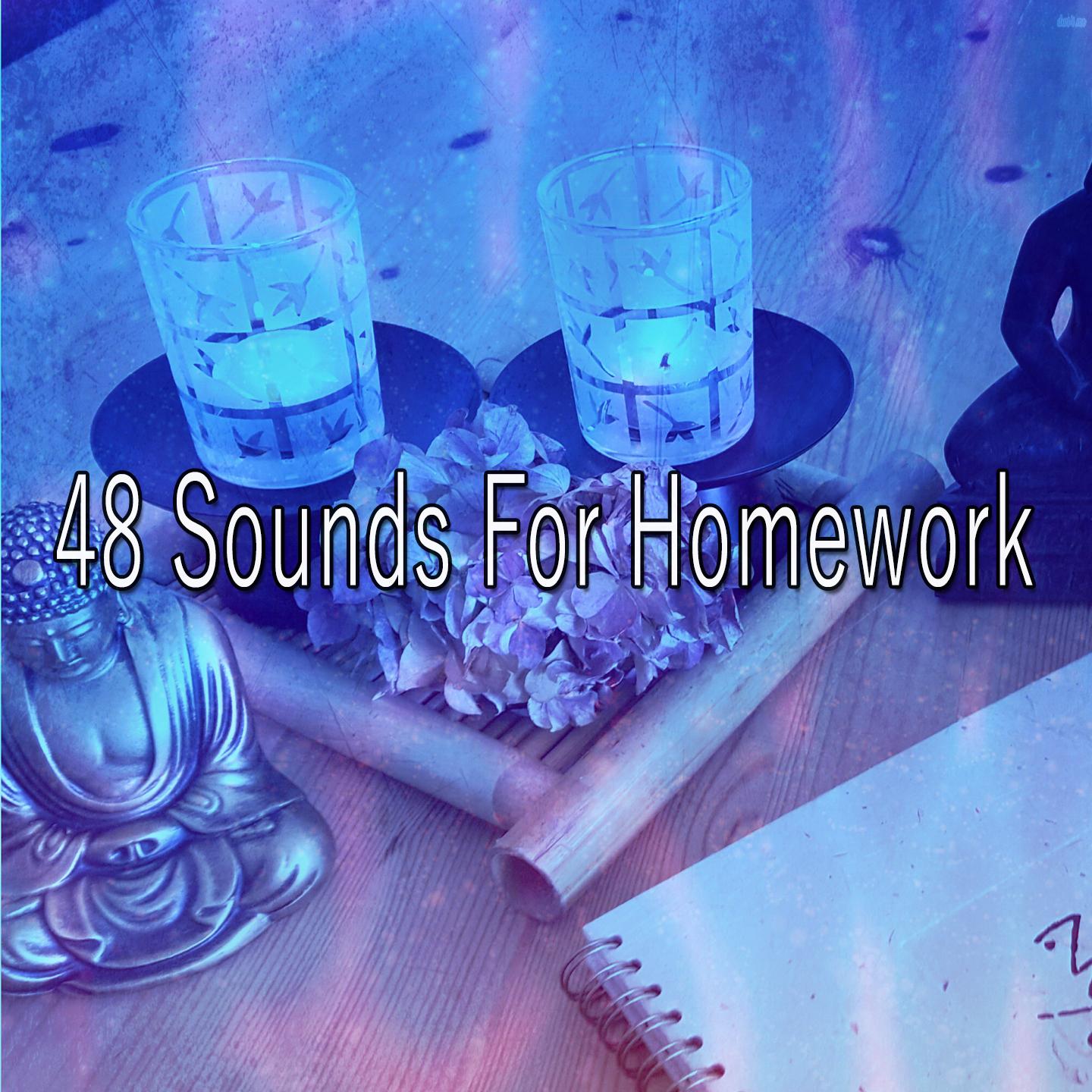 48 Sounds For Homework