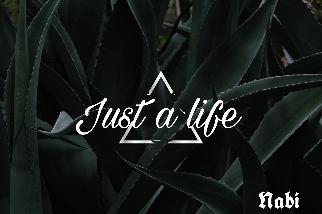 Just a life