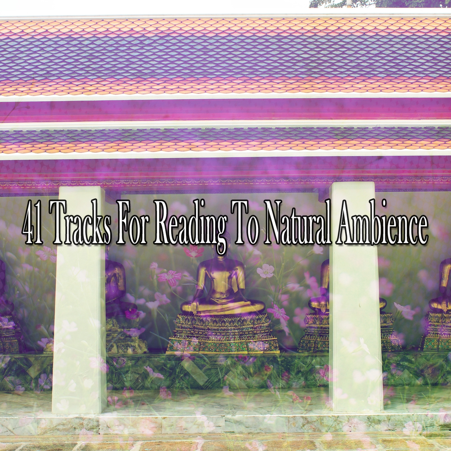 41 Tracks For Reading To Natural Ambience