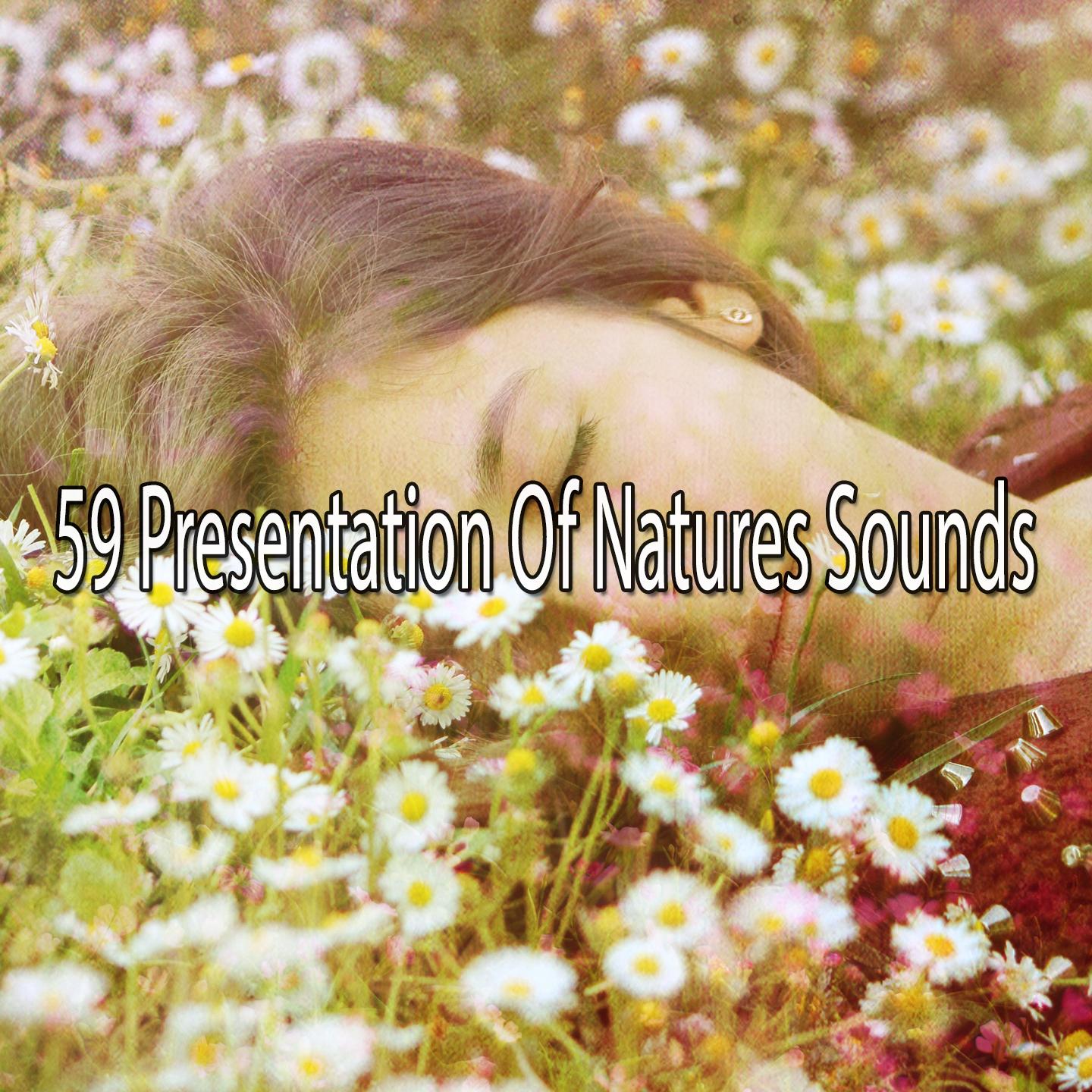 59 Presentation Of Natures Sounds