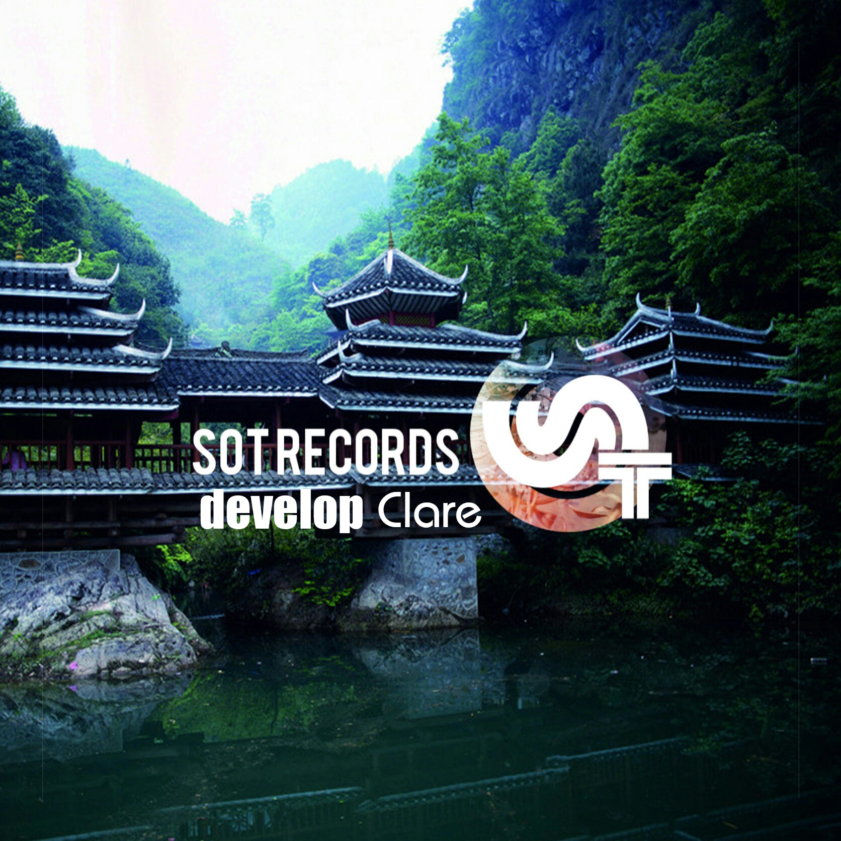 Develop(Original Mix)