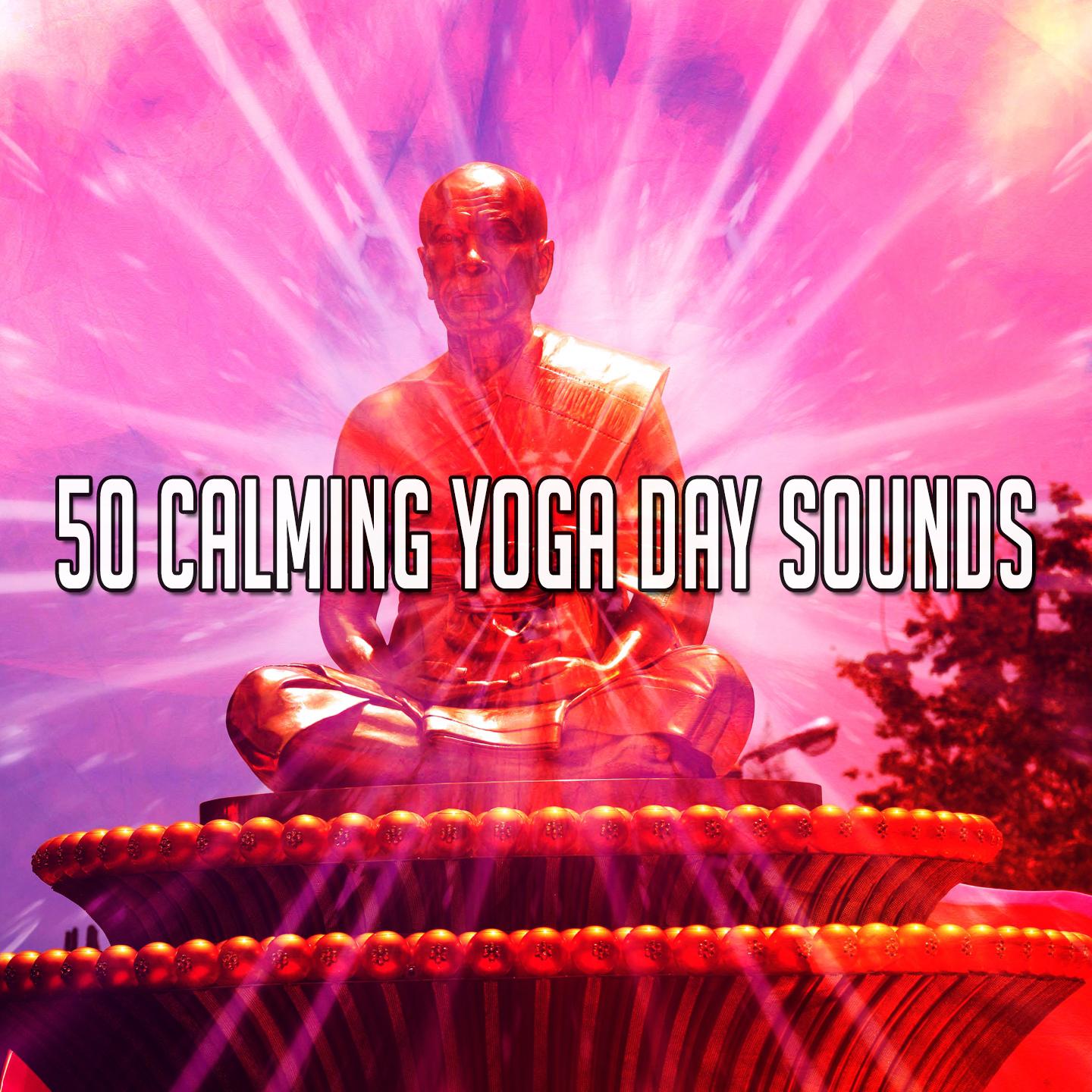 50 Calming Yoga Day Sounds