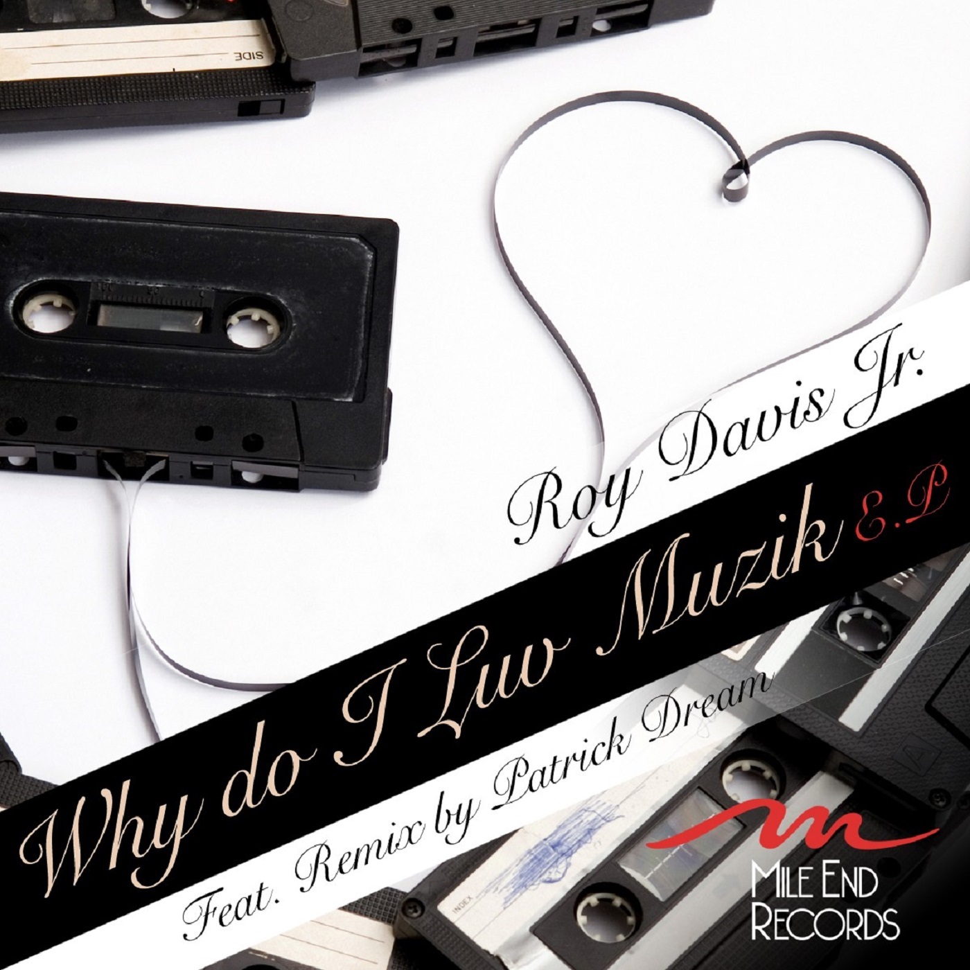 Why Do I Luv Muzik (Remixes)