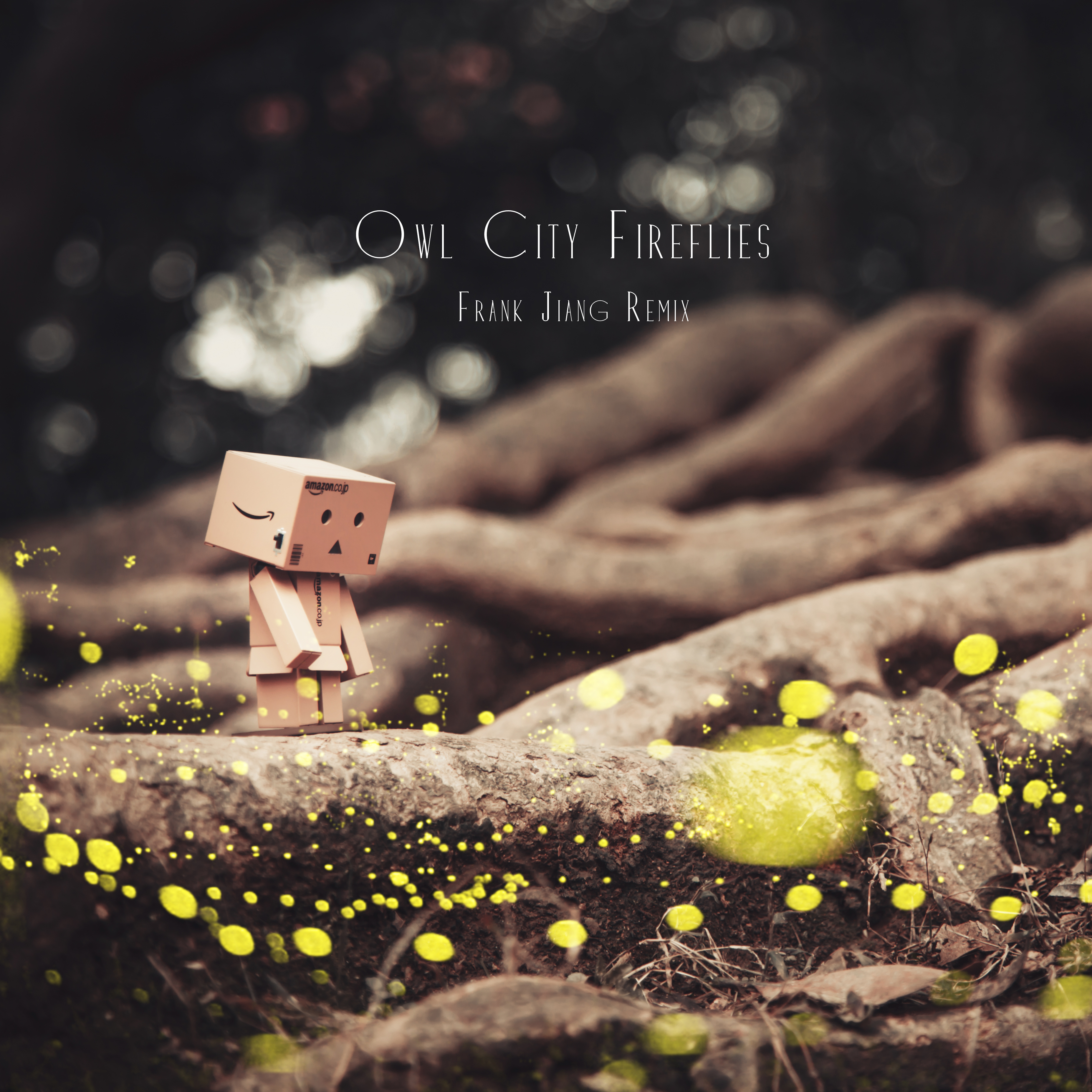 Owl City - Fireflies （Frank Jiang Remix）