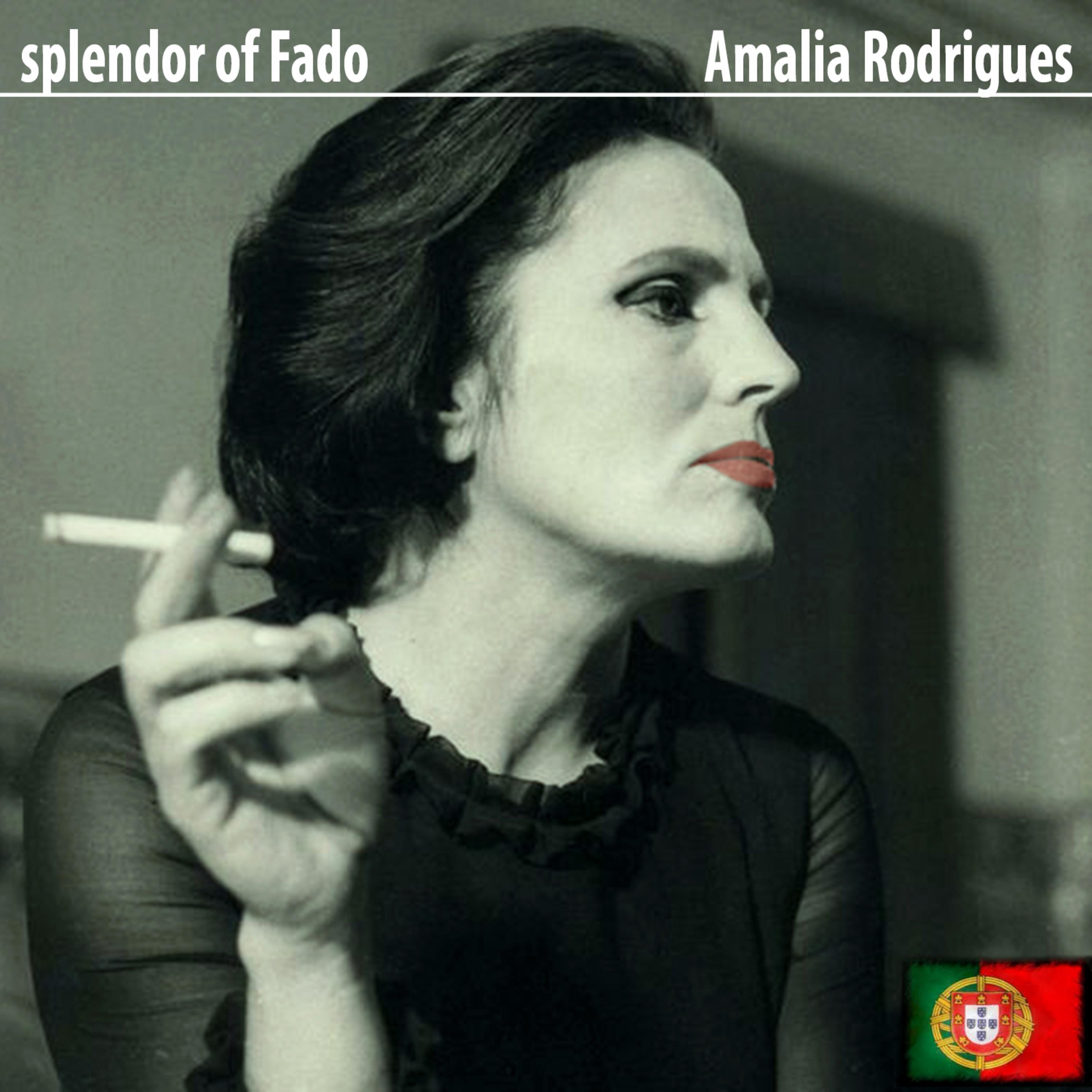 Splendor of Fado