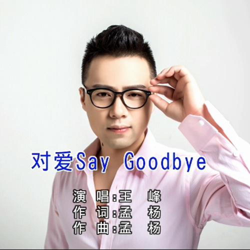 对爱Say Goodbye